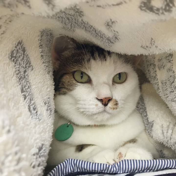 0b8416c6 2109 48a0 a3f7 537c61c9c94a 1535451834644