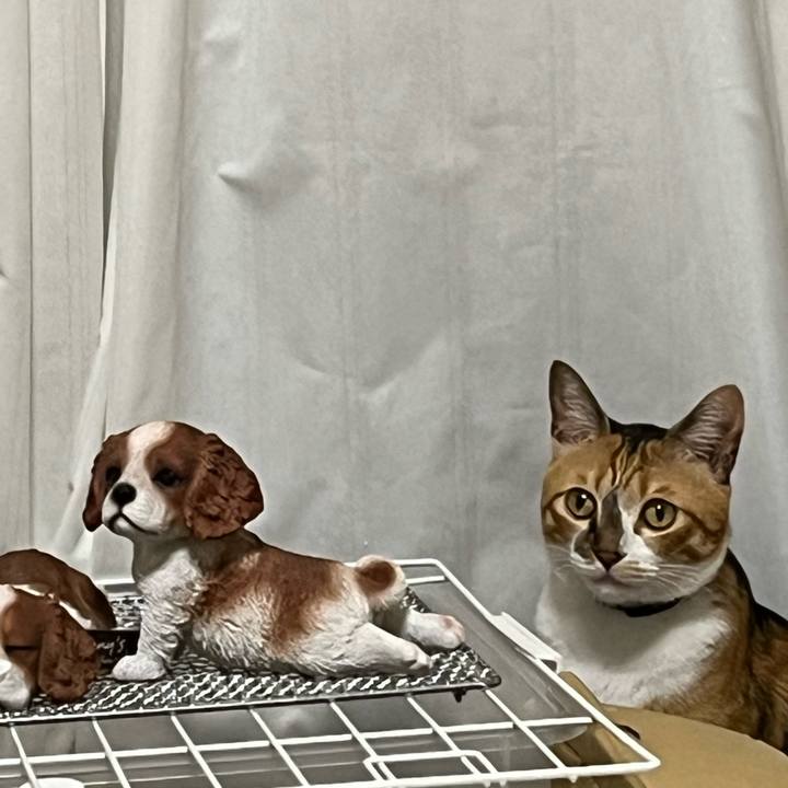 0b8452aa 83af 4f43 8b73 20f37fd1f53b 1722258460838