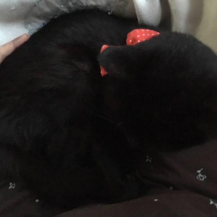 0b84598d 3e7e 475a a8eb 59a0e3430ca7 1551215795481