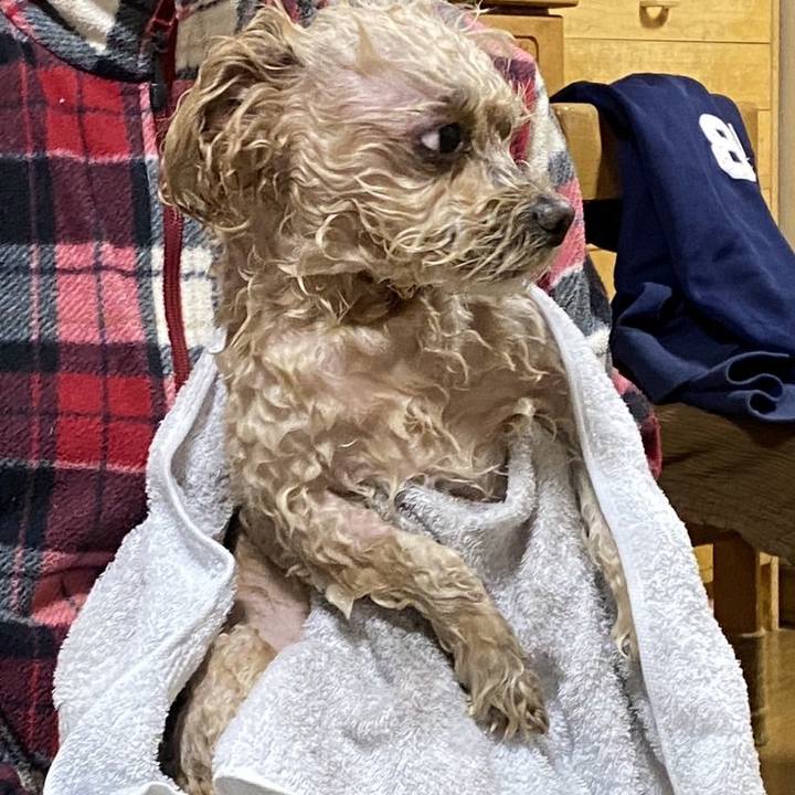 0b84723a 9fdb 4794 b6cc 6cd5d09c3fa9 1671964448495