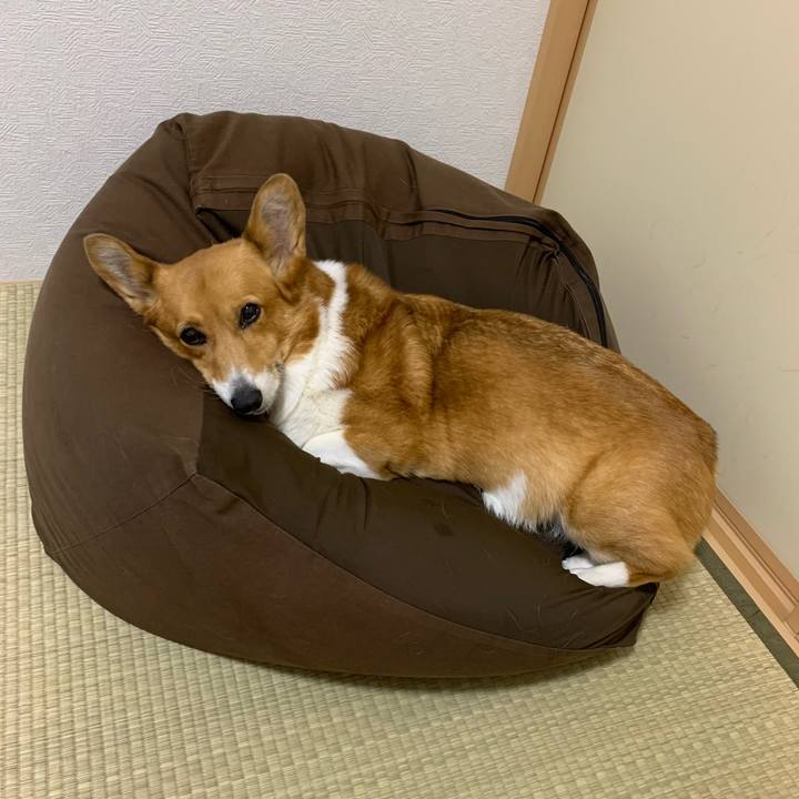 0b847625 ff4b 47ec b691 1ef19e3ffb78 1669288298098