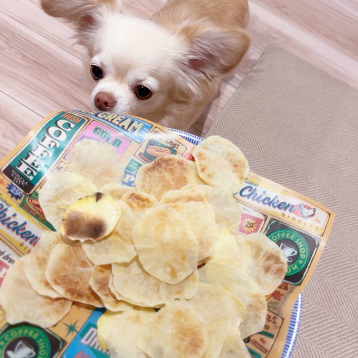 0b848339 8460 442a baf3 40b34c83eeaf 1748947703033