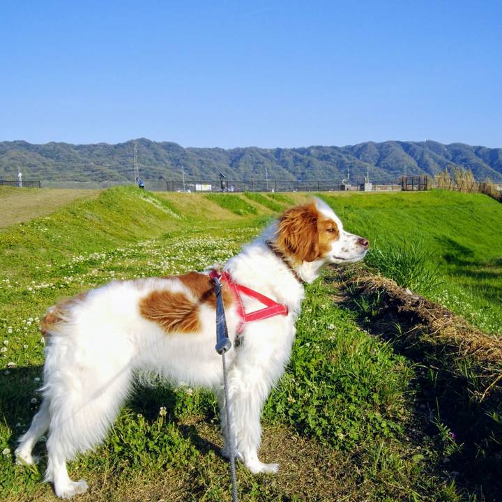 0b849ce7 2478 45b6 98fb a59a8a9501d1 1555757391179