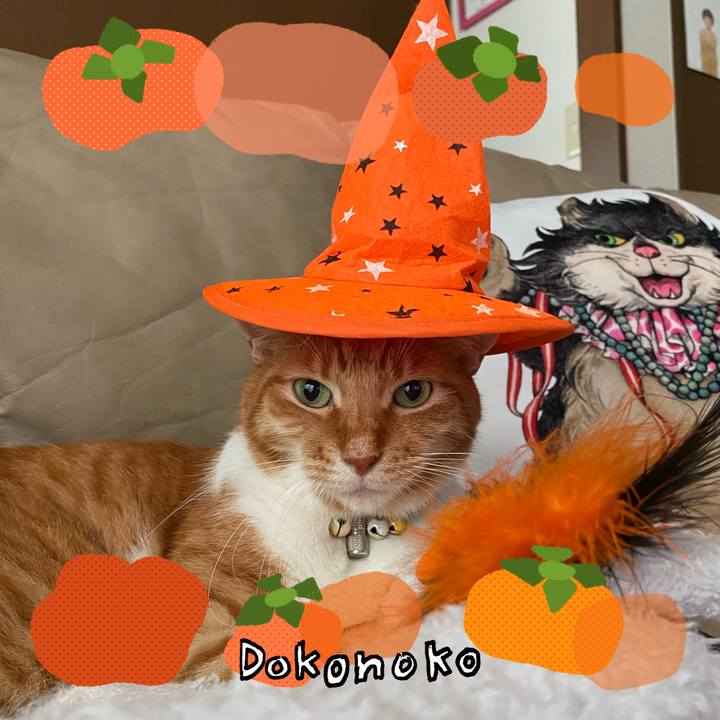 0b84a66d ab9a 440a 8aff cc52aa77cb22 1761842183045