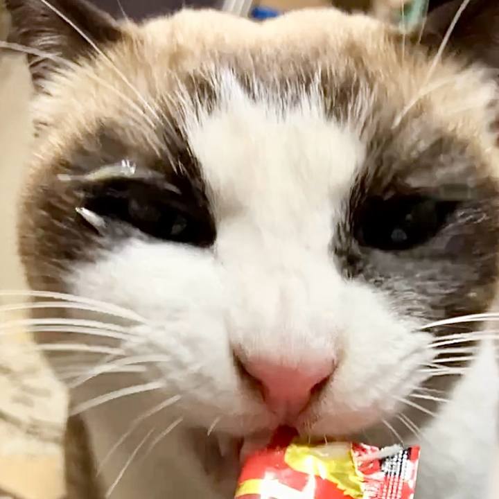 0b84f62d 16b8 4173 a64b d461bd0f39bd 1736991895810