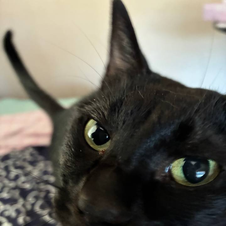 0b8523f0 3ca6 40ec 82a4 cfbfadc763e3 1757581474229