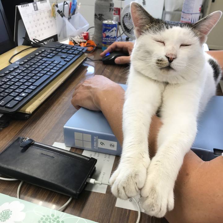 0b859664 6b5f 42d6 b23f 049a54967c48 1562569920458