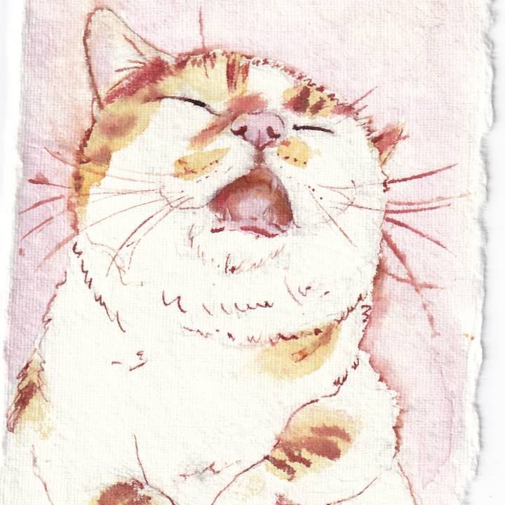 0b85a91e a06d 491a a654 97598011cf2d 1746837337187