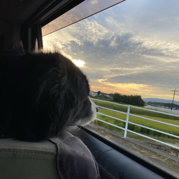 0b85c639 76da 4cdb 8fd9 5a68e691d377 1696283654569