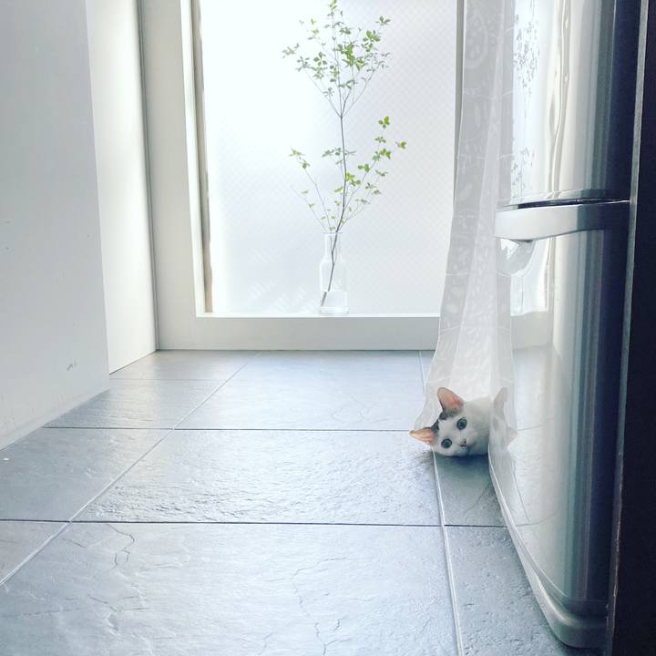 0b85d3c5 7d12 42e5 a552 f4569a0a2cfe 1598093458995