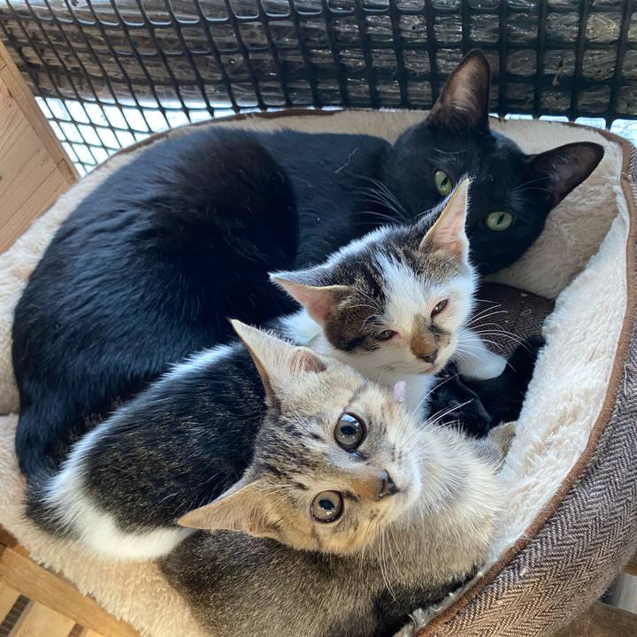 0b85d54a 5281 4587 8f85 f85a0541b727 1602203344196