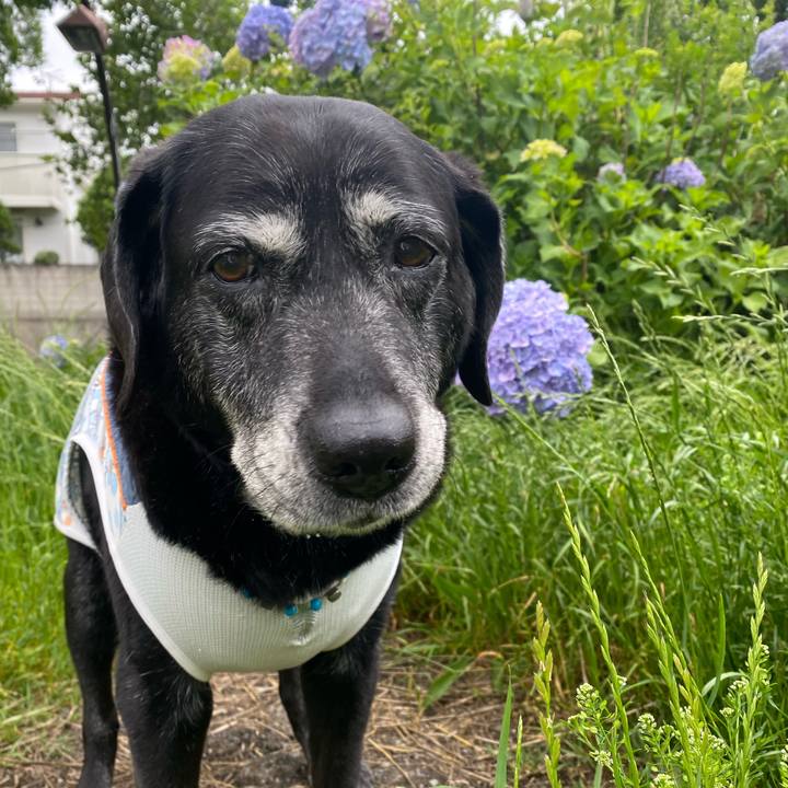 0b86115b c4b4 4f20 92e8 68b99315a3bd 1716944703192