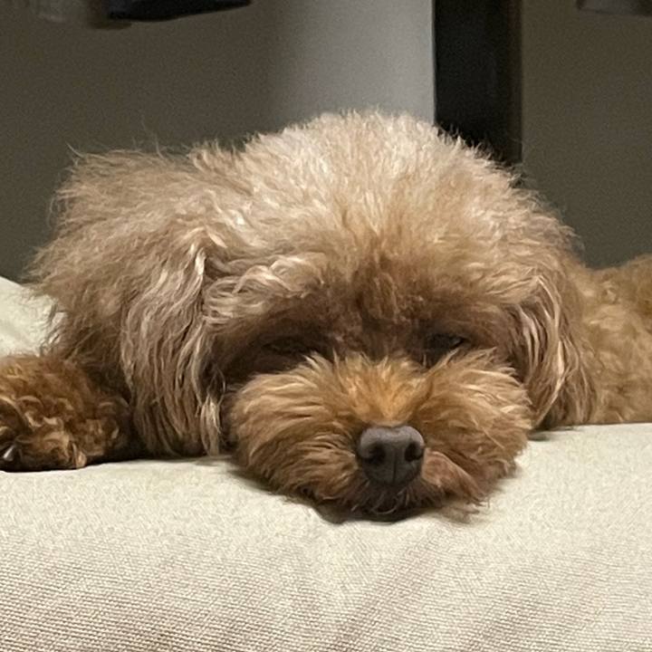 0b866242 5812 4b66 b82e 5b240e3b469a 1661666293884