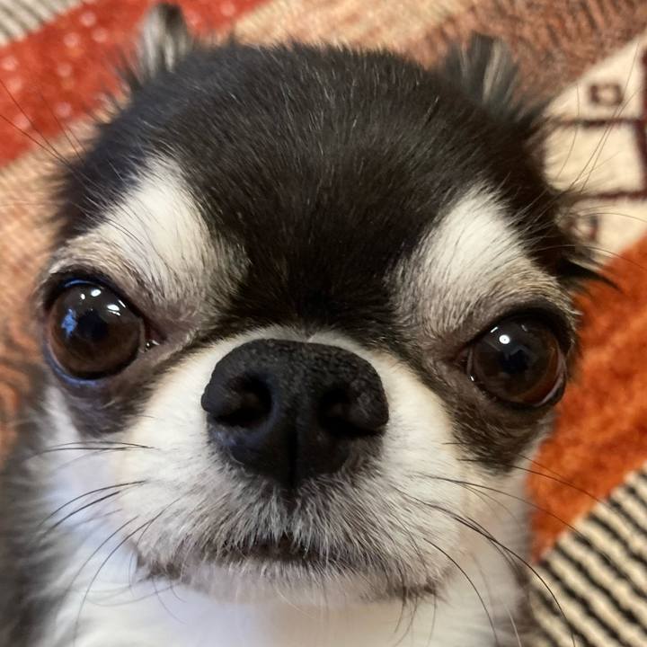 0b86808c 308c 457f 9aae cf84d83dc070 1671923119800