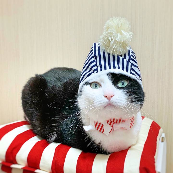 0b86b84b 7979 4289 a7fe 9e4f563a61a8 1560984168111