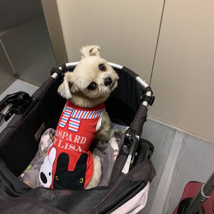 0b86eb13 4577 49fd b92b 55f024a063f4 1551618709724