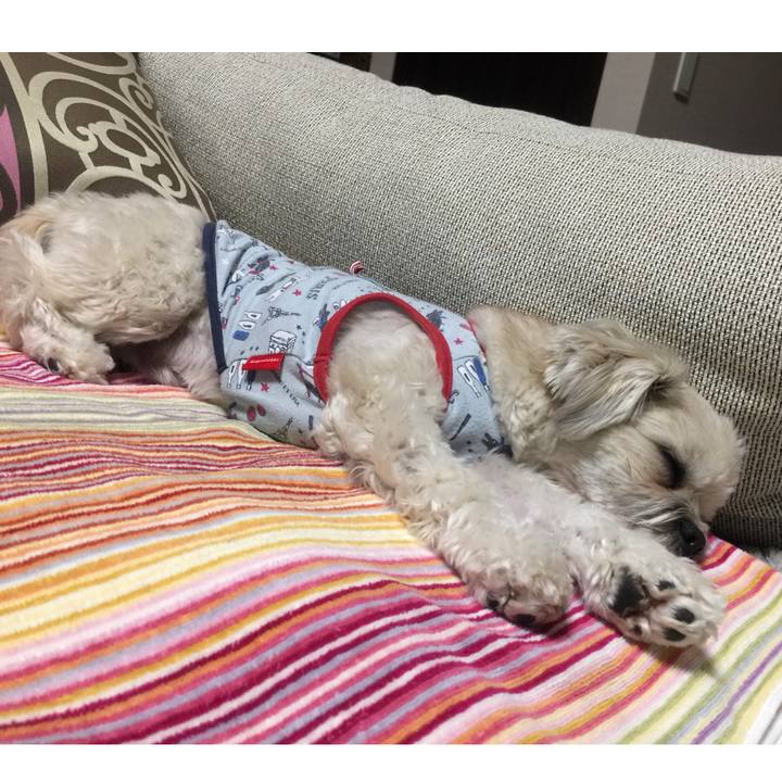 0b872c61 f821 4aae b918 aa2a69ba4029 1519037602564