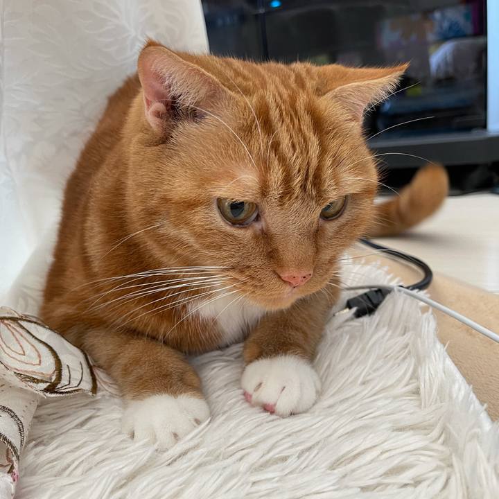 0b875a12 9cf7 40eb a4b9 76b574def7a3 1633836275396