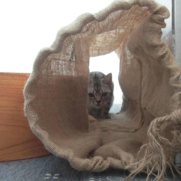 0b876a73 eda3 4ac1 8e0c 77455fd21b92 1557053535179