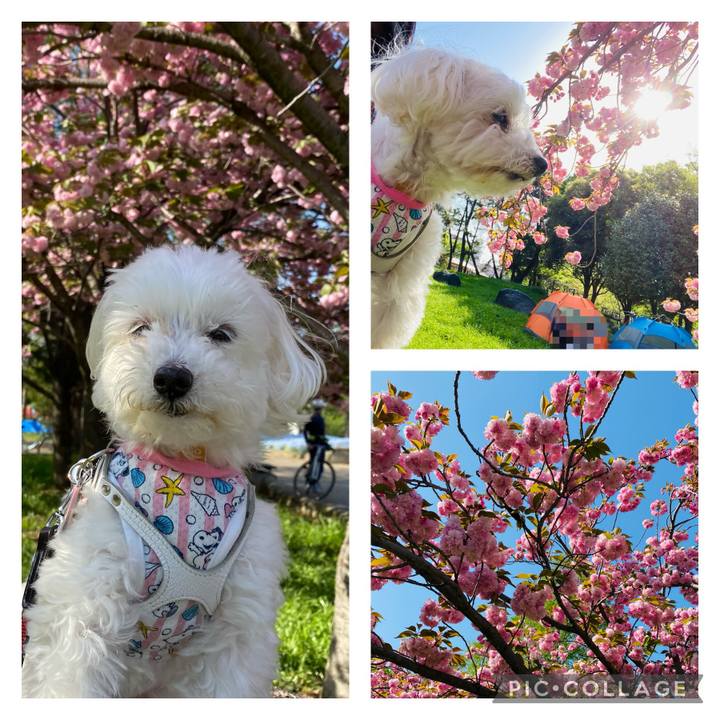 0b878755 3b7b 4087 b8ce 228aaa98cc08 1681213151387