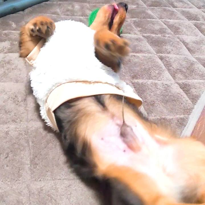 0b87b7df f2df 41bf a31c e940d1ea5b07 1703291348687