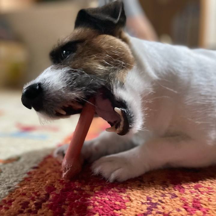 0b87b8de 8124 4ea6 995e 20691e063571 1754781273056