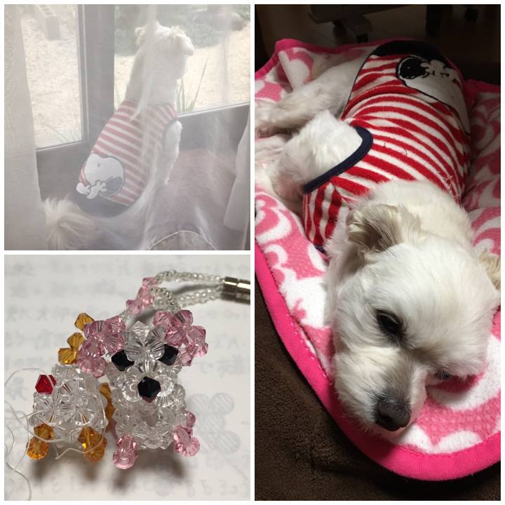 0b87f8ea 0718 4674 b637 ce701e8b195d 1551358921306