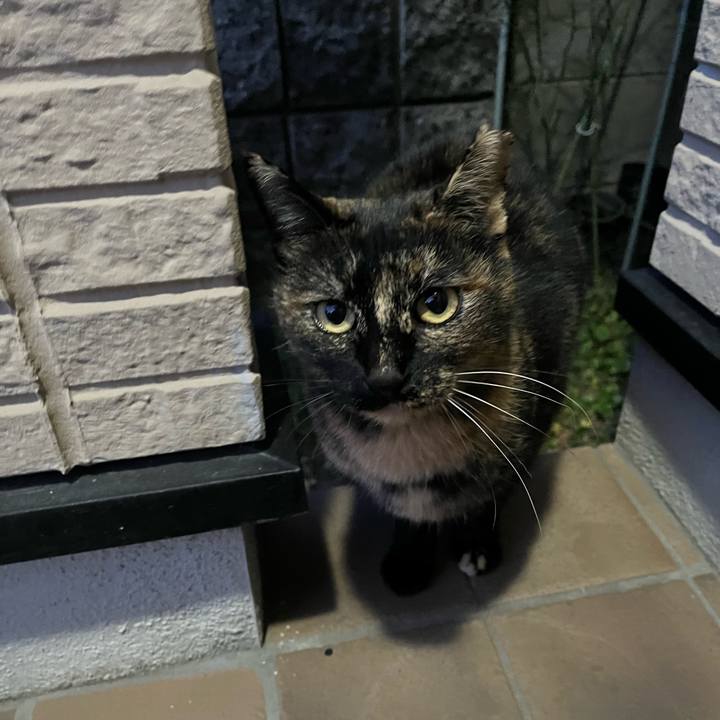 0b87f8ed 8c6a 411b 8ef3 a05dedc22bb5 1767694865608