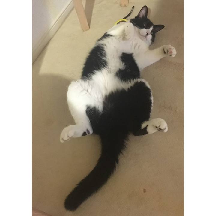 0b88081a 3aff 46c3 a966 dc211c1a72fd 1587428571441