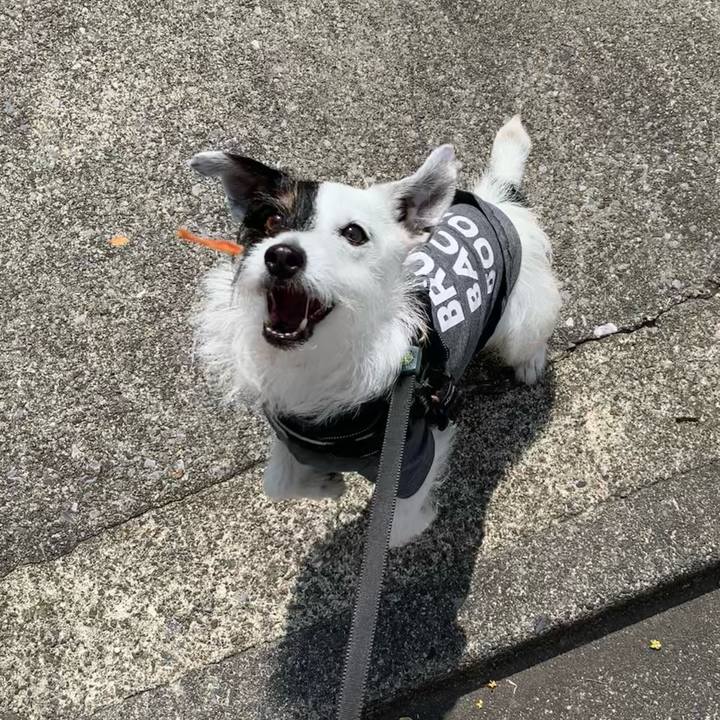 0b882521 61a3 4c03 abdd 46d26083fa2d 1683764783489