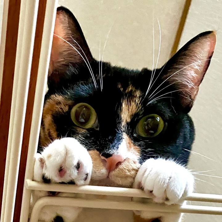 0b8833be de78 4e89 94af 67d2ea9eeca2 1755006264411