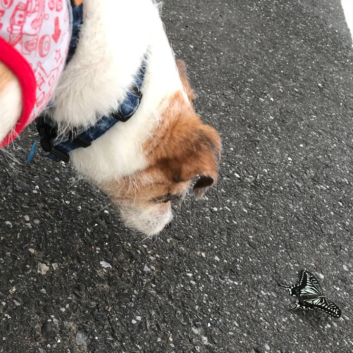 0b8856fc 786b 4071 b5d6 ac3ab69c9df5 1600561215808