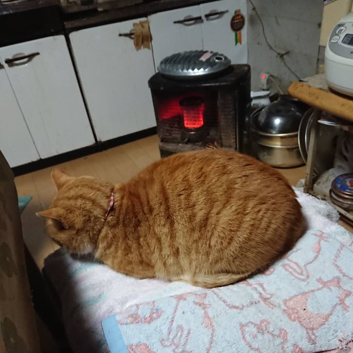 0b8861c1 52a8 4b4e 866e a316421bba25 1607718088634