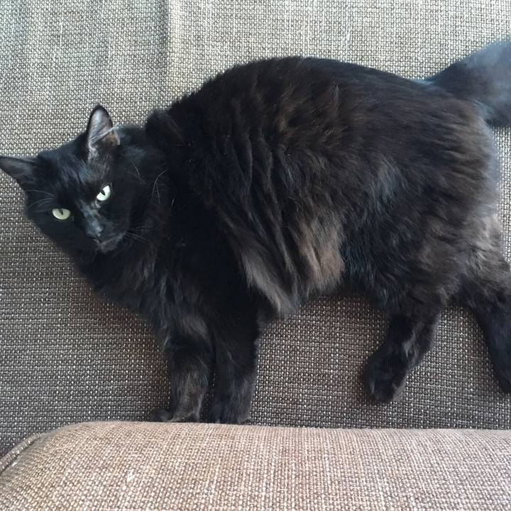 0b887751 499b 4ded 902d 10e482d77f22 1513233595944