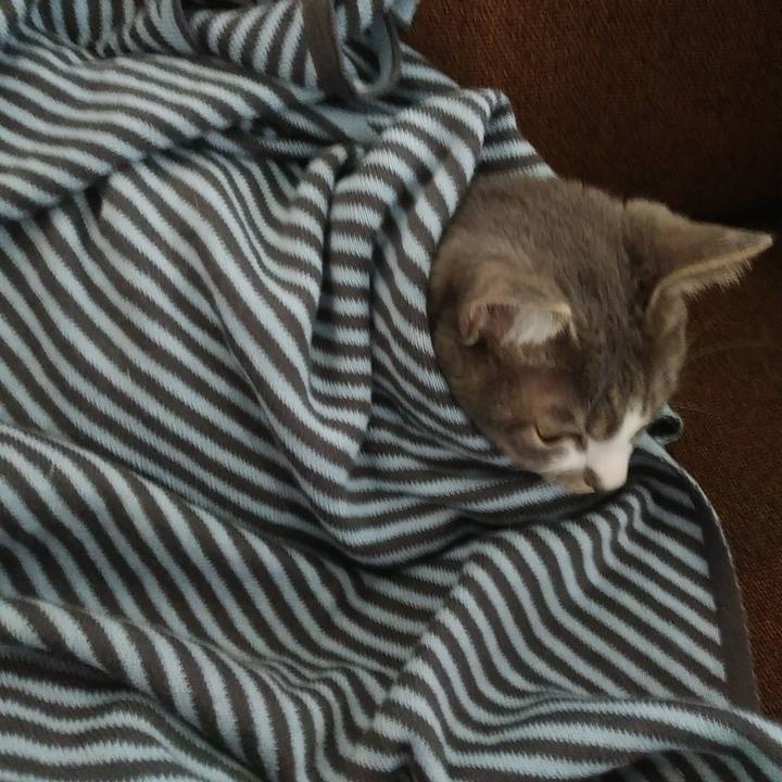 0b887d77 882a 4ac6 aae9 513a240d9eef 1590026229146