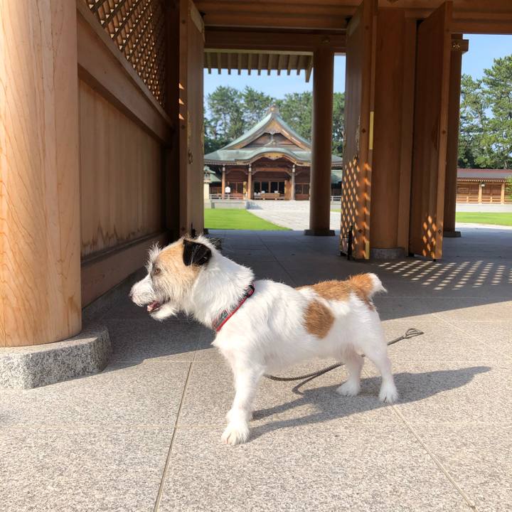 0b8898ee c843 4082 8bdd 0e337906959e 1596580879598