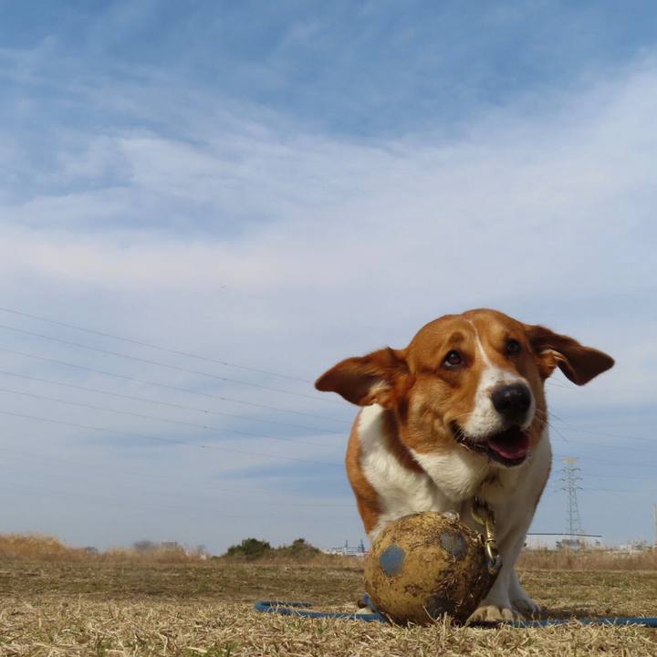 0b88c14e 8d7b 4bb0 9e0c 003d7ab62e99 1645246393681