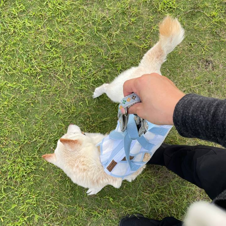 0b88cd0a eef9 410a b420 8f7ab2e6a3a7 1660657375398