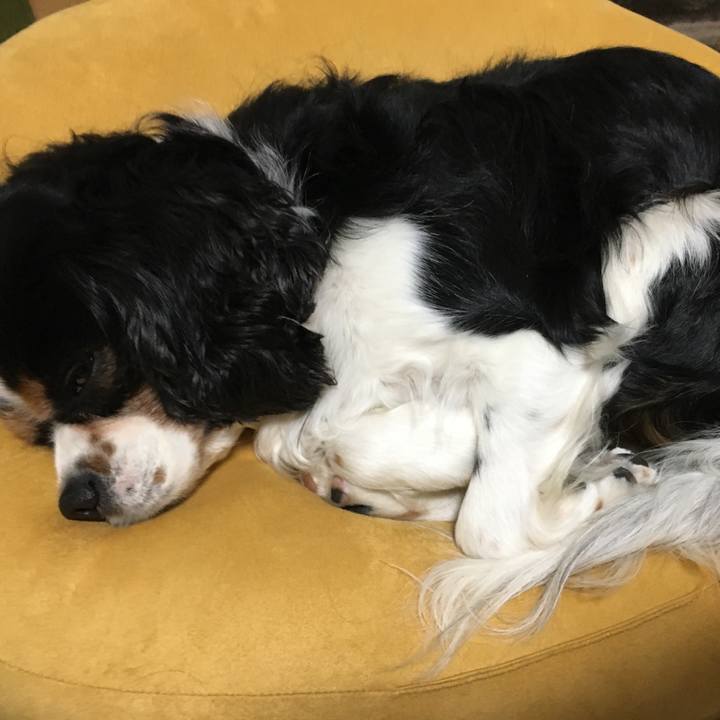 0b892b6d 6cb9 4df5 927c 1b7e40986000 1513513634904