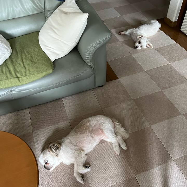 0b8930a6 344c 4986 b9bb be6740327a17 1693782525928