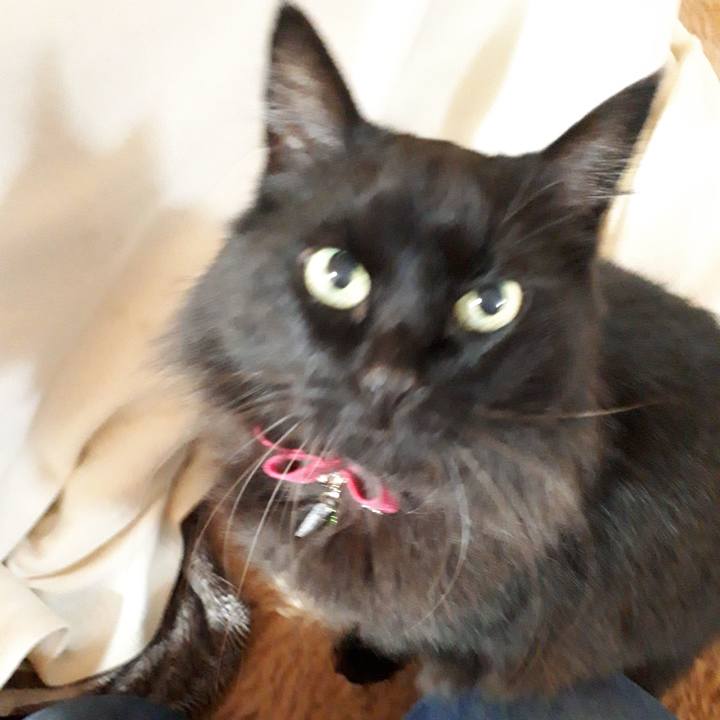 0b8932d8 6816 49e0 83d5 28cc1b3b0d1c 1518649935197