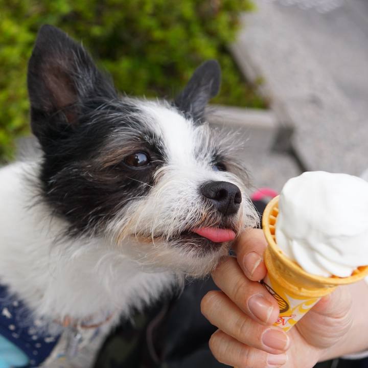 0b89571c 2937 450e 9ea3 0294adcf1a63 1620122765663