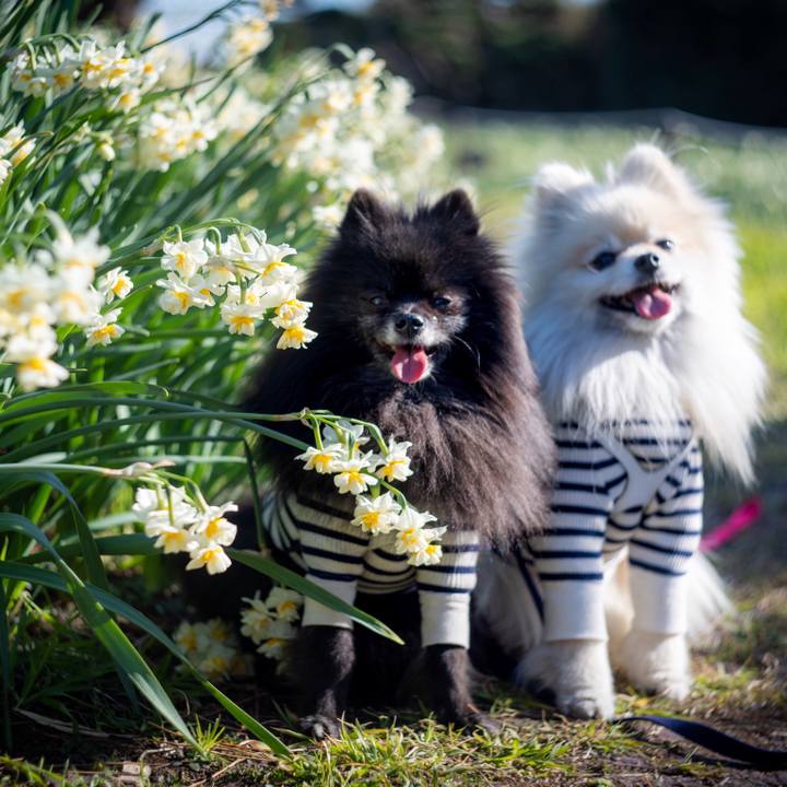 0b89593a b29d 4a54 89a1 442b56e5adb6 1547309553319