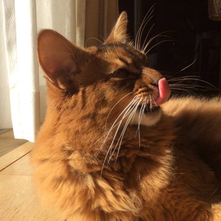 0b89c96a c609 4a9a b391 81d8f4518ca7 1610158733273