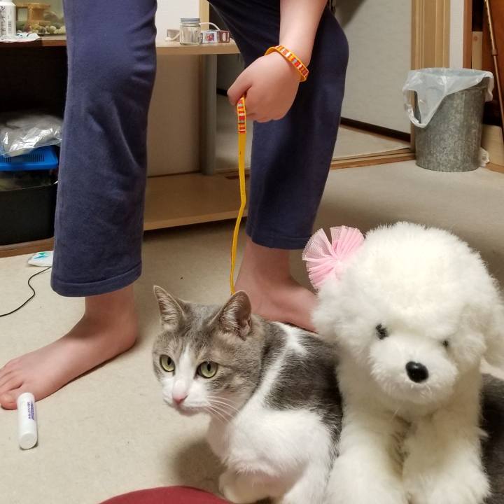 0b89d1fc b6ed 4ddf a5cf a458dca0c597 1555421762999