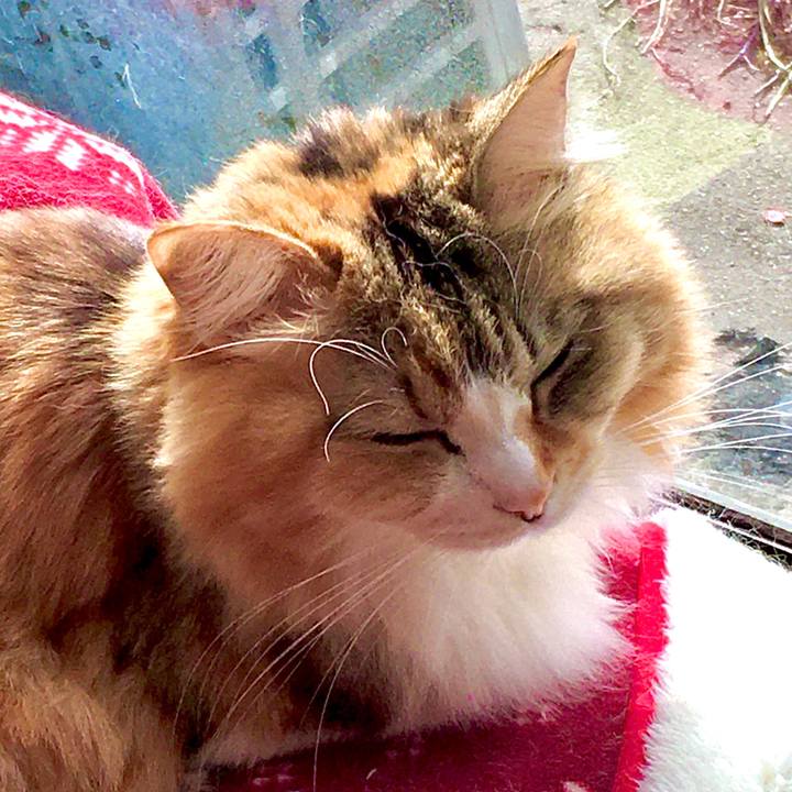 0b89e3c9 bb32 45ff 884b e5bbbcc320af 1579582215050