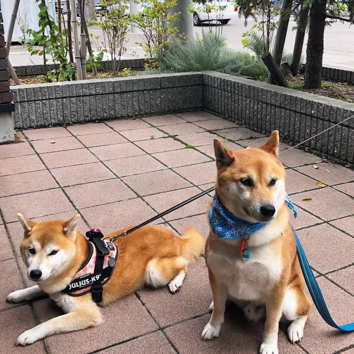 0b89e712 a060 4918 855a 718b2a5bd9f5 1568807785156