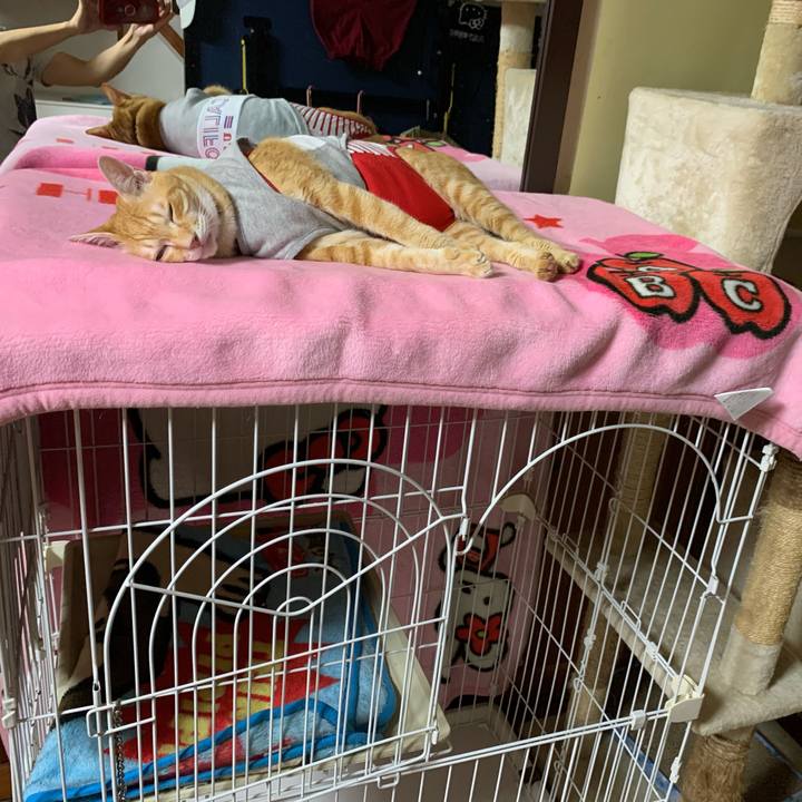 0b8a135f 4f42 44e6 bbba e866876276cf 1600346767840