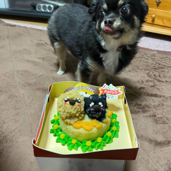 0b8a25db 0f77 466f 9958 754d5cb6e546 1651062835415