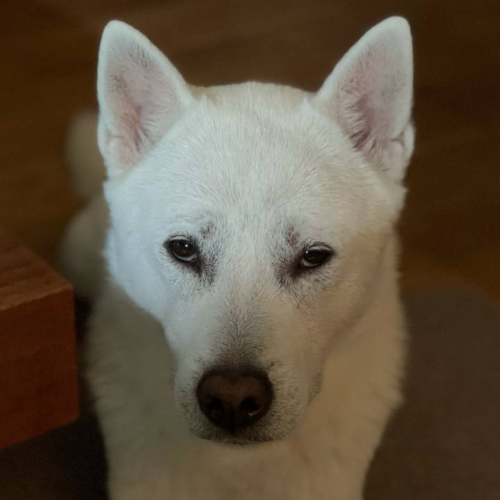 0b8a5a1d bfb6 45c3 b87f 17bf090272c7 1680950492919